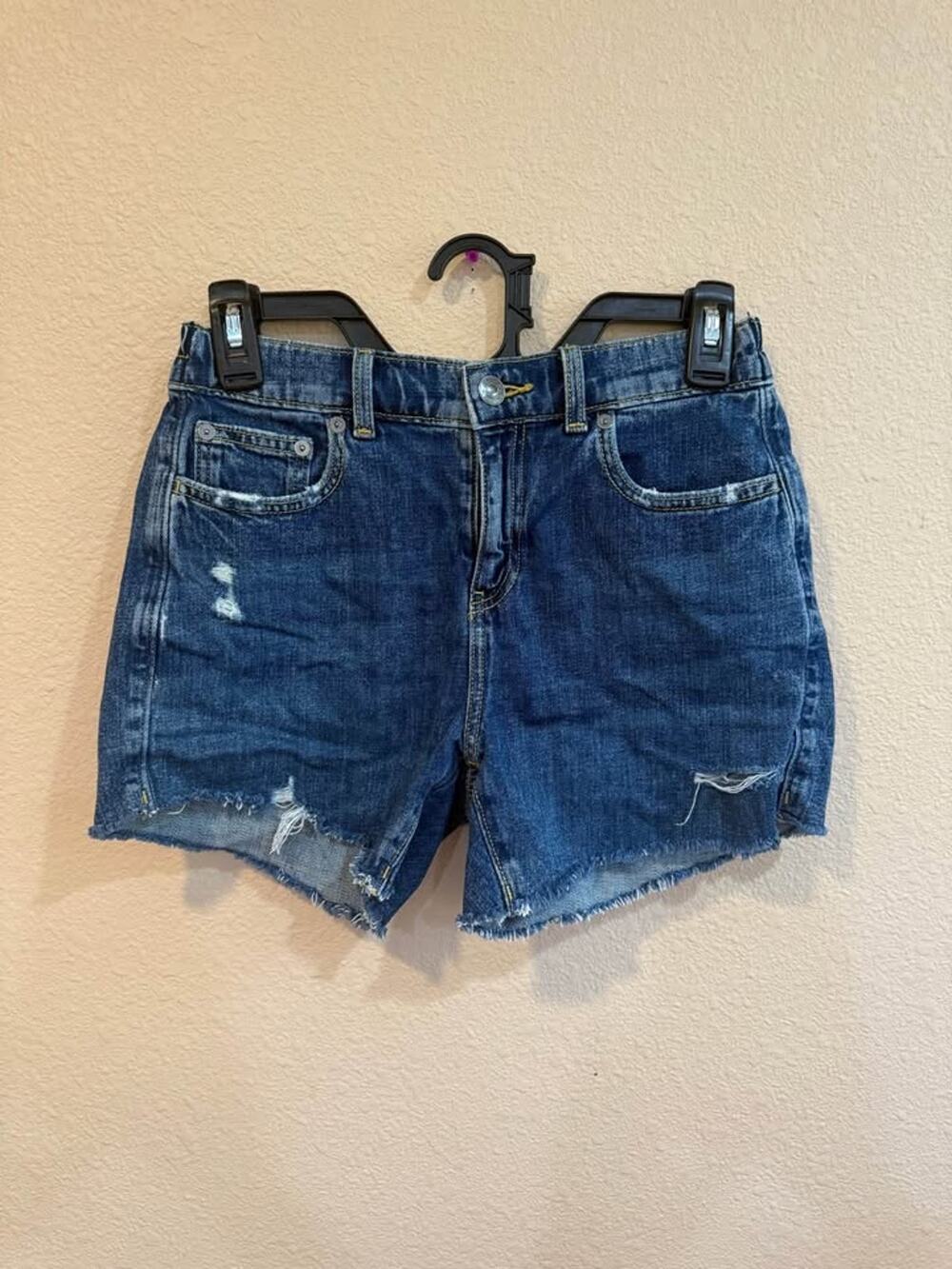Aerie Denim Shorts